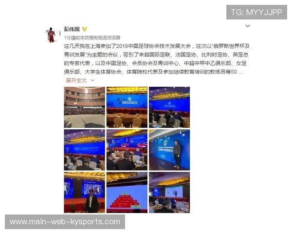 世界杯后城市青训公益项目融资渠道与效果评估